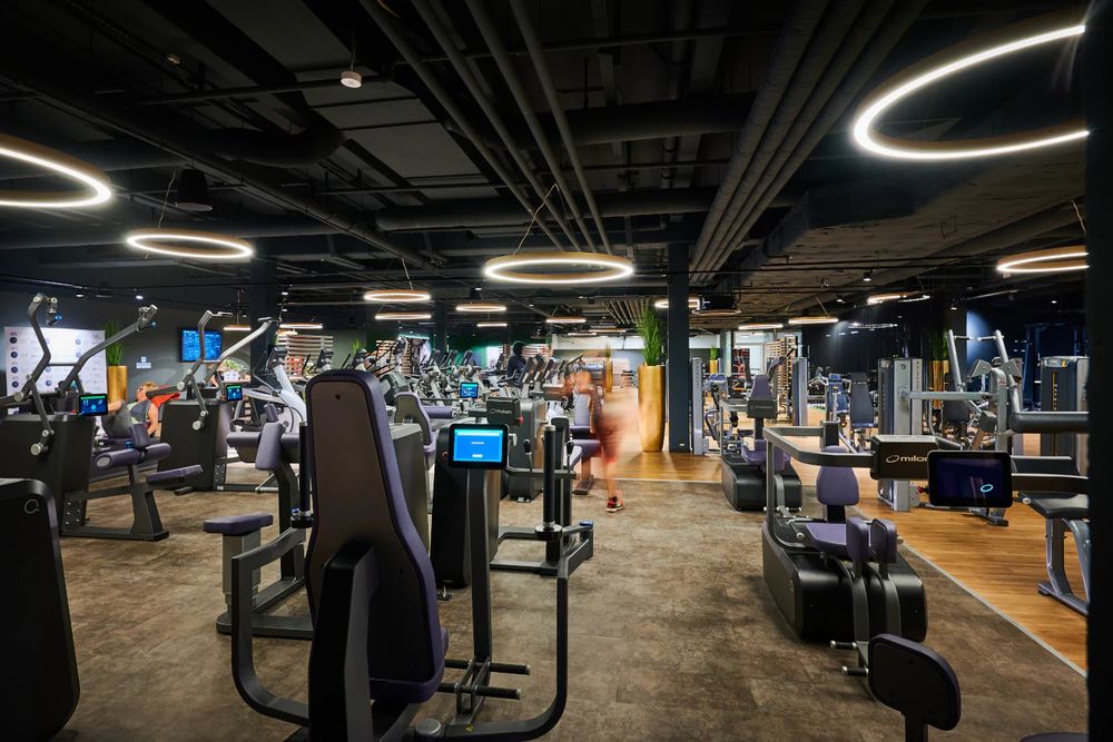 Trainingsfläche von nord fitness mit Geräten und Ringleuchten